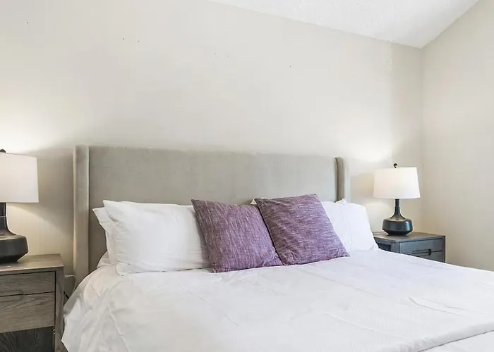 Apartment Landing Modern With Amazing Amenities